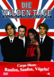 stream Die wilden Tage