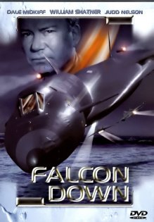 stream Falcon Down Todesflug ins Eismeer