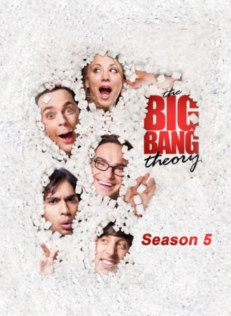 stream The Big Bang Theory S05 E21